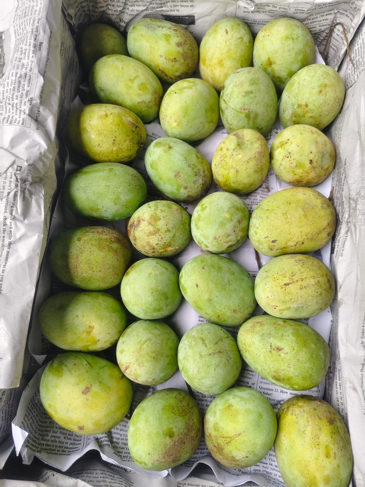 হিম সাগর আম